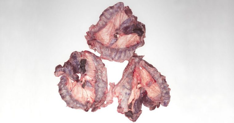 Pork Diaphragm