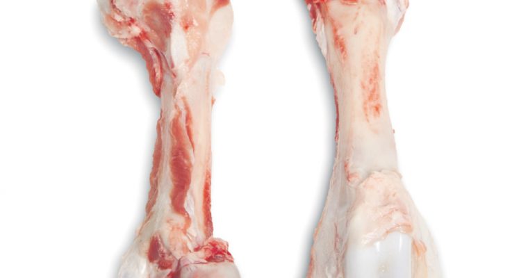 Pork femur bones