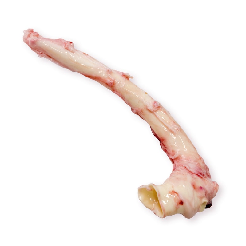 Mutton aorta