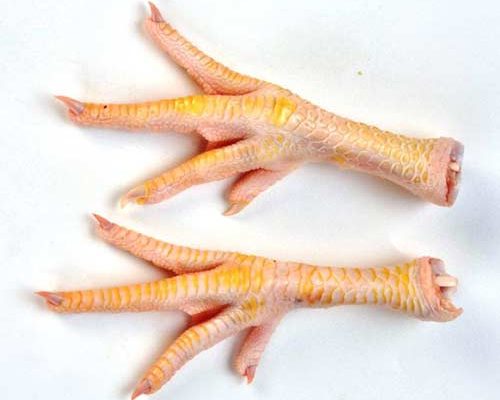 chicken feet-unprocessed