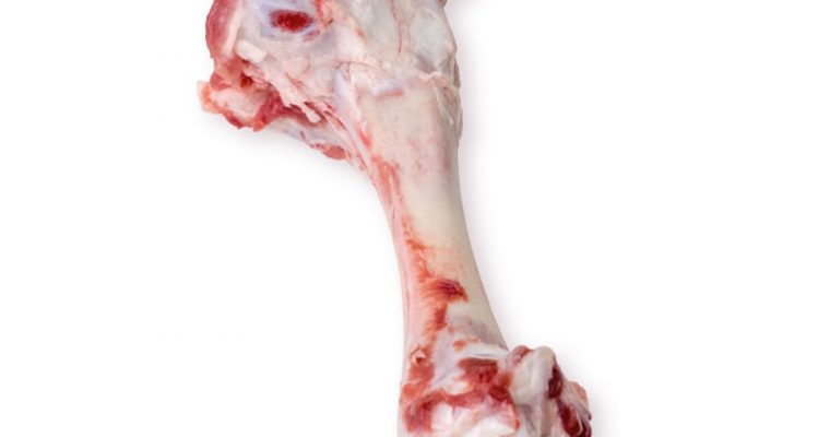 pork humerus-half-bone