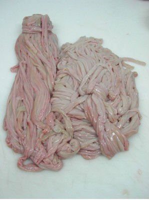 Mutton / Lamb intestines