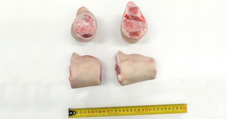 pork knee-from-hind-feet