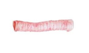 PORK – TRACHEA